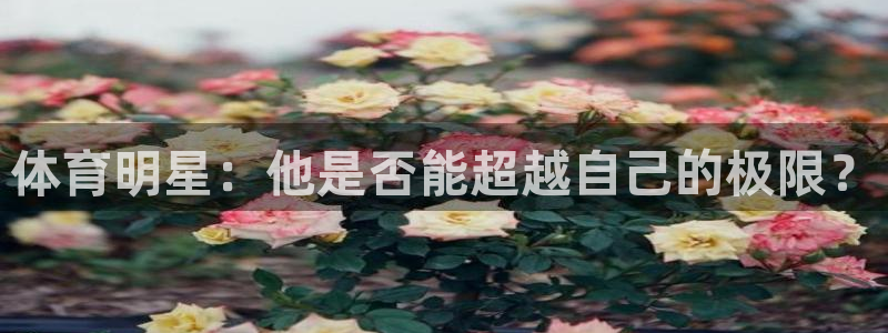 七星体育NBA：体育明星：他是否能超越自己的极限？