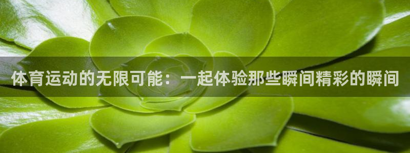 七星体育彩票中奖号码是多少：体育运动的无限可能：一起体验那些瞬间精彩的瞬间