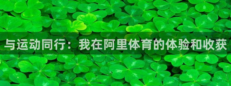 七星体育男主持：与运动同行：我在阿里体育的体验和收获