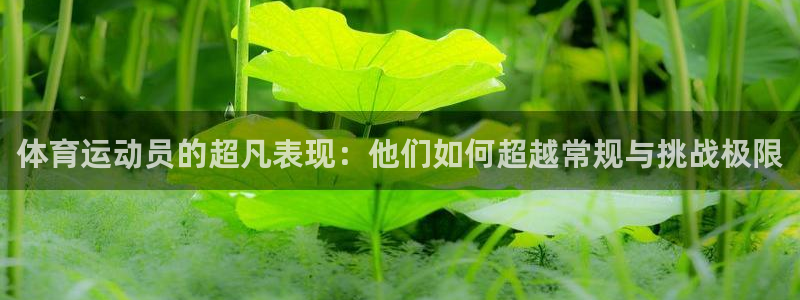 七星体育彩票结果：体育运动员的超凡表现：他们如何超越常规与挑战极限