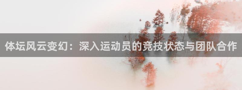 七星体育属于什么档次：体坛风云变幻：深入运动员的竞技状态与团队合作