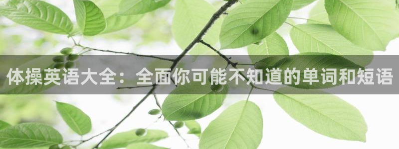 七星体育直播nba7live相关：体操英语大全：全面你可能不知道的单词和短语