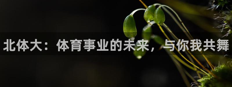 七星体育彩票中奖规则图：北体大：体育事业的未来，与你我共舞